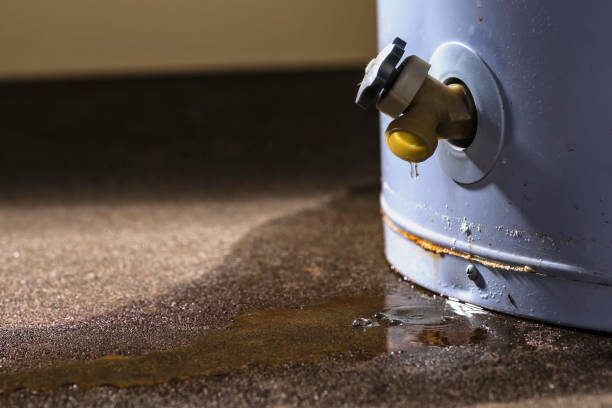 Best Local water damage restoration  in Huntington, VA