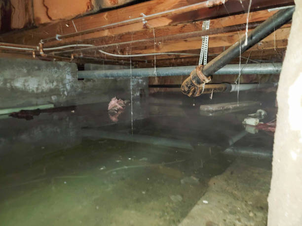 Best Residential water damage restoration  in Huntington, VA