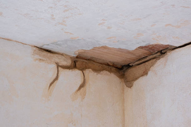 Best Water damage restoration services  in Huntington, VA