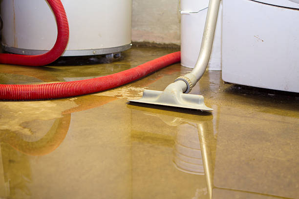 Best Sewage cleanup and water damage restoration  in Huntington, VA