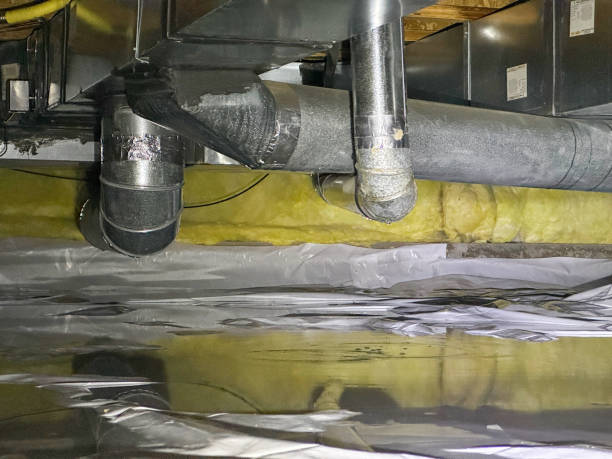 Best Water damage cleanup near me  in Huntington, VA